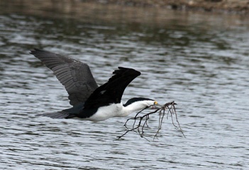 IMG_7814a.jpg